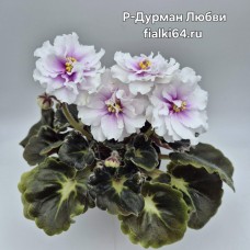 Р-Дурман Любви